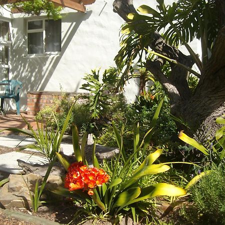 Be My Guest Lodge Bloubergstrand Room photo