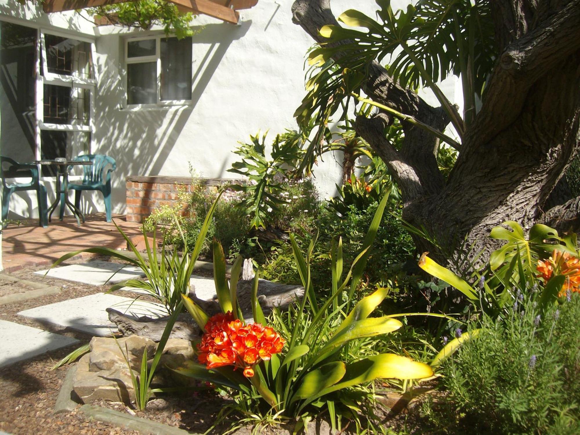 Be My Guest Lodge Bloubergstrand Room photo
