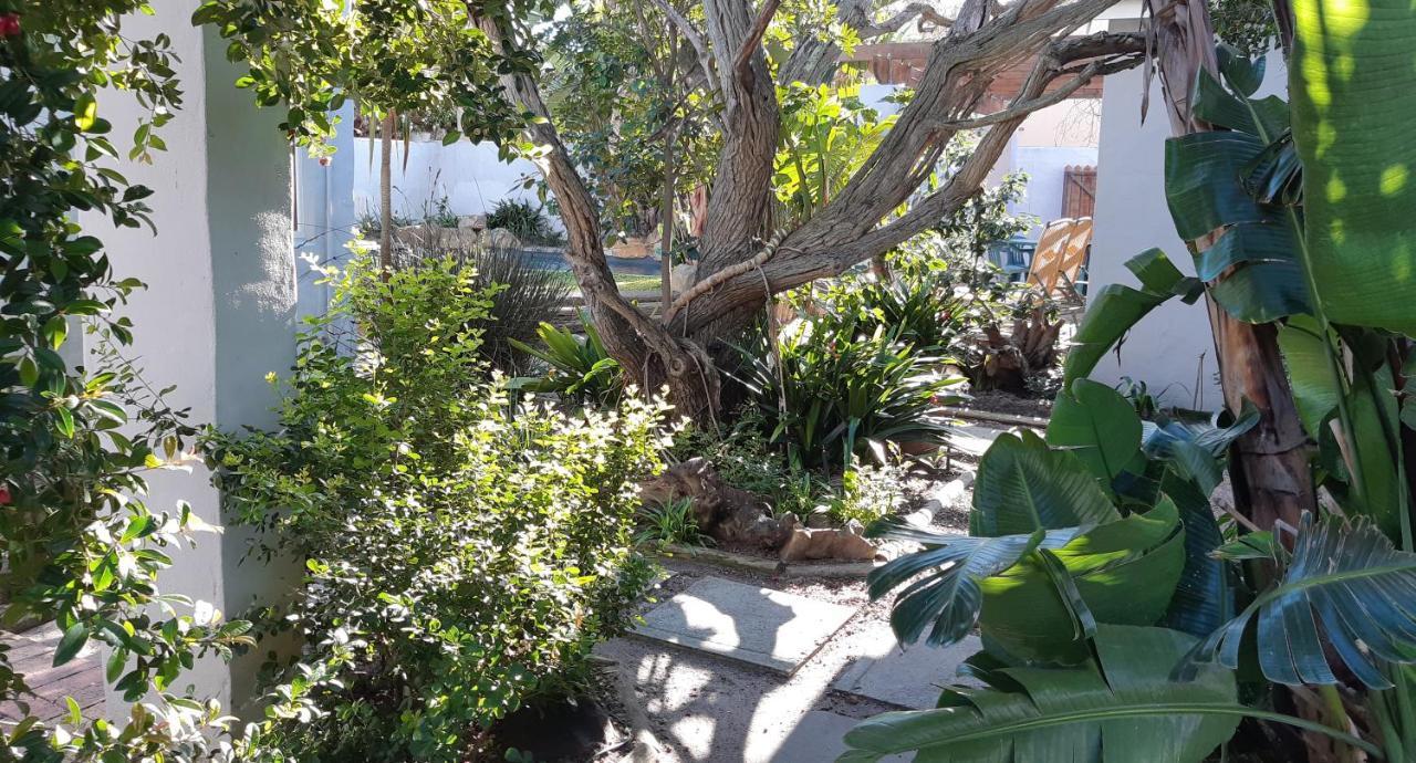 Be My Guest Lodge Bloubergstrand Exterior photo